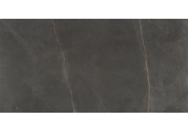 Emerita Dark 60X120