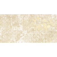 Emotion Beige Natural 49,8x99,6