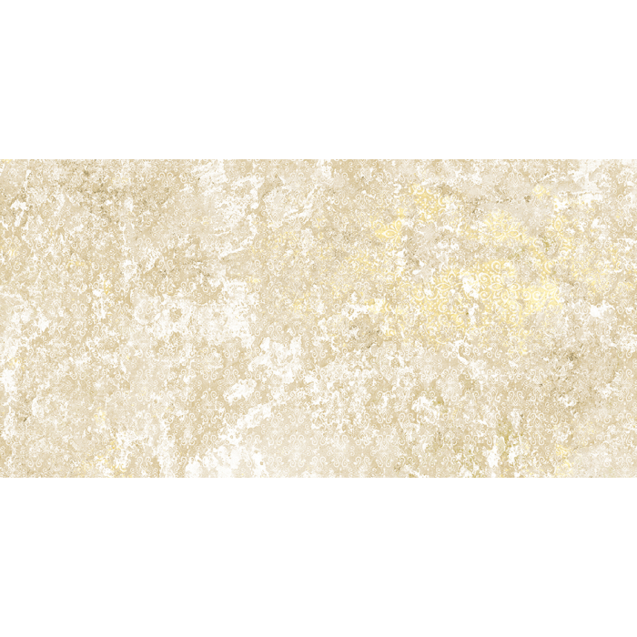 Emotion Beige Natural 49,8x99,6