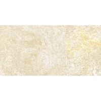 Emotion Beige Natural 49,8x99,6