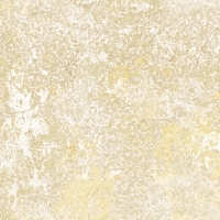 Emotion Beige Natural 59,6x59,6