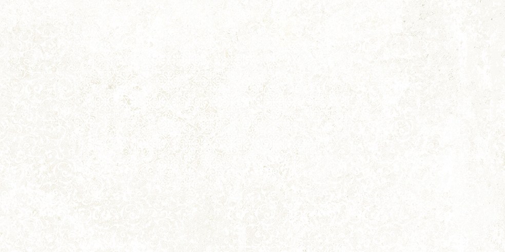 Emotion White Natural 49,8x99,6