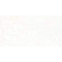 Emotion White Natural 49,8x99,6