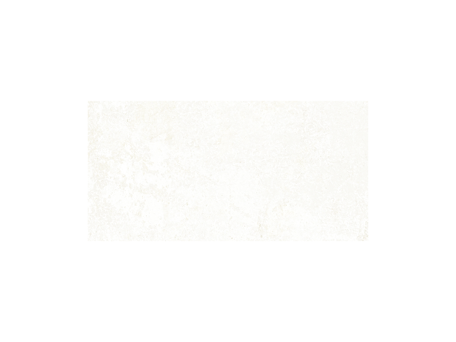 Emotion White Natural 49,8x99,6