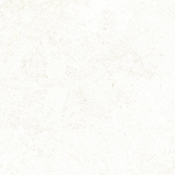 Emotion White Natural 59,6x59,6