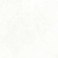 Emotion White Natural 59,6x59,6