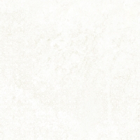 Emotion White Natural 59,6x59,6