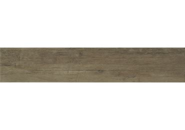 Endor Beige  23X120