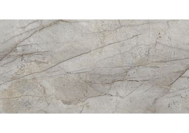 Essence Grey  Nplus 60X120