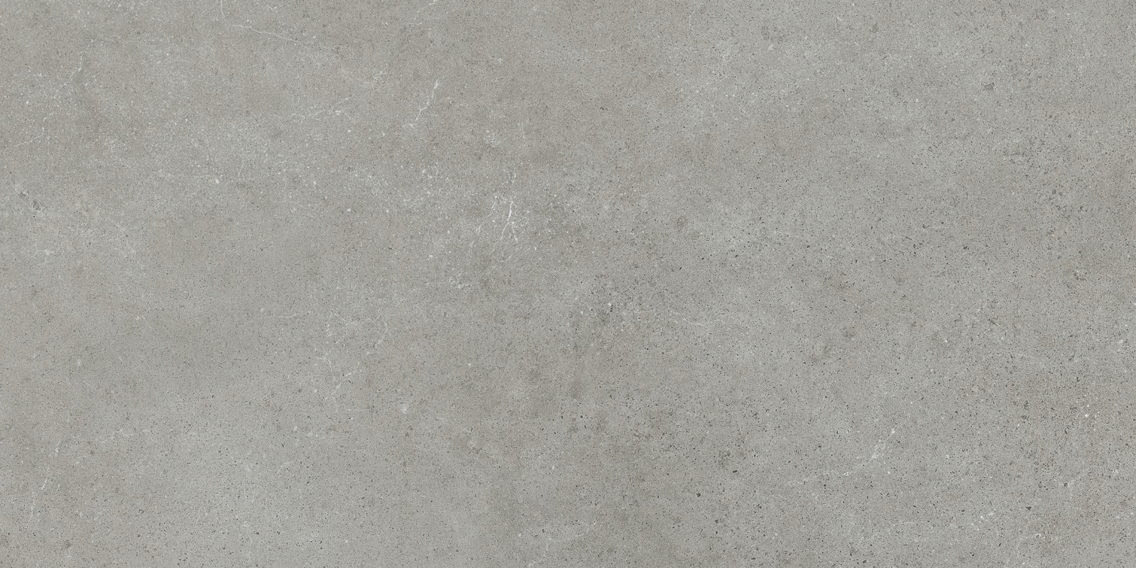 Evo Grey   30X60