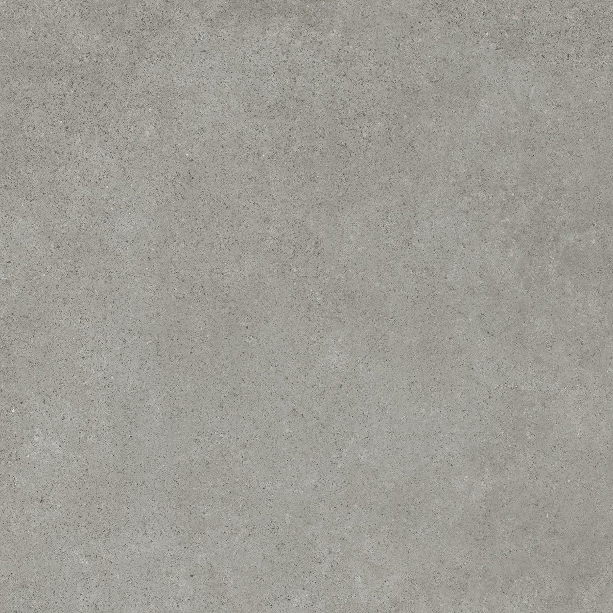 Evo Grey     60X60