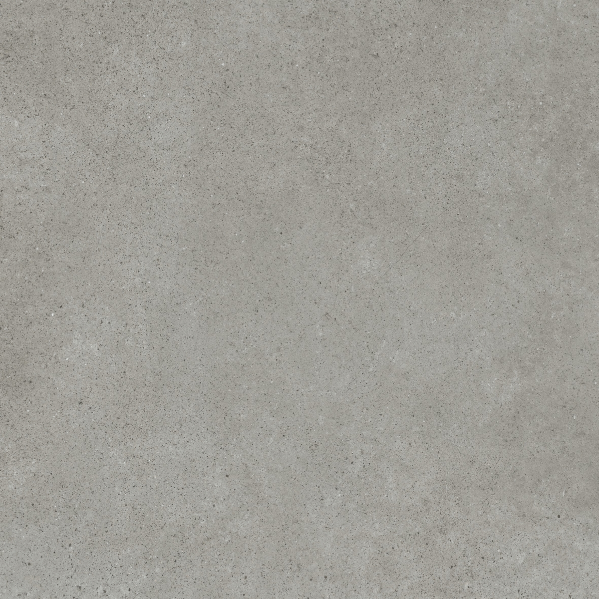 Evo Grey  Lap   60X60
