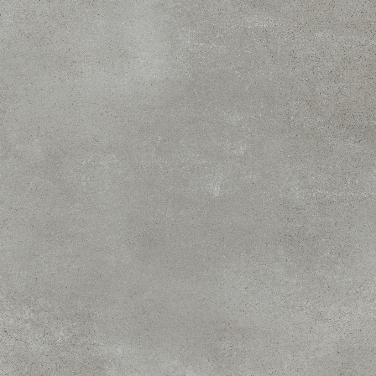 Evo Grey  Lap 75X75