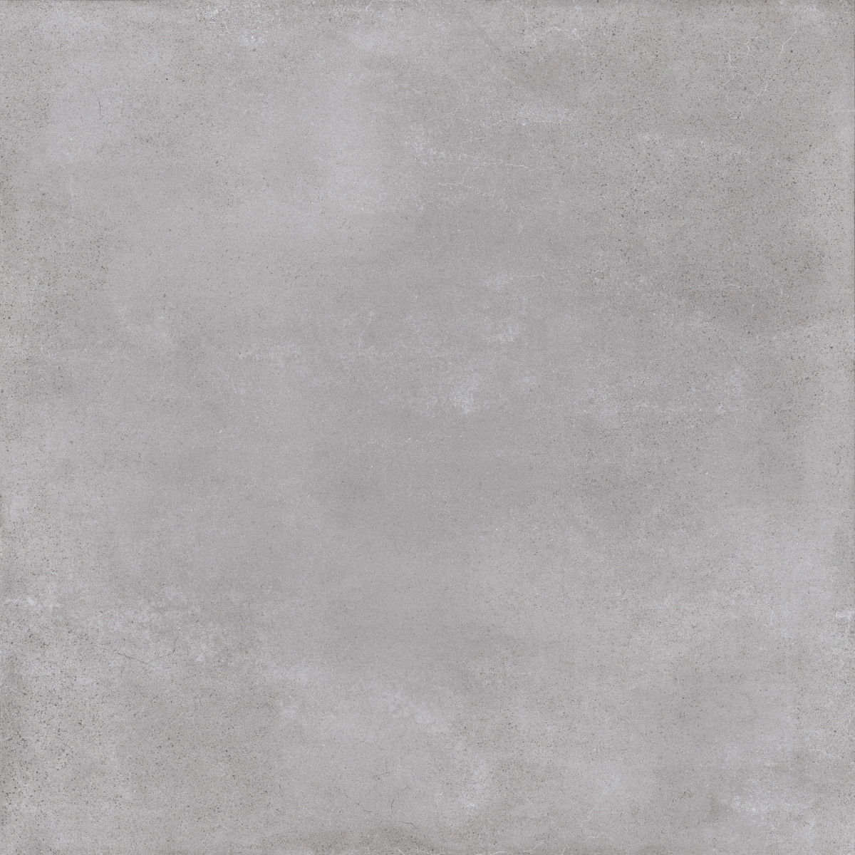 Evo Grey  Rec 120X120