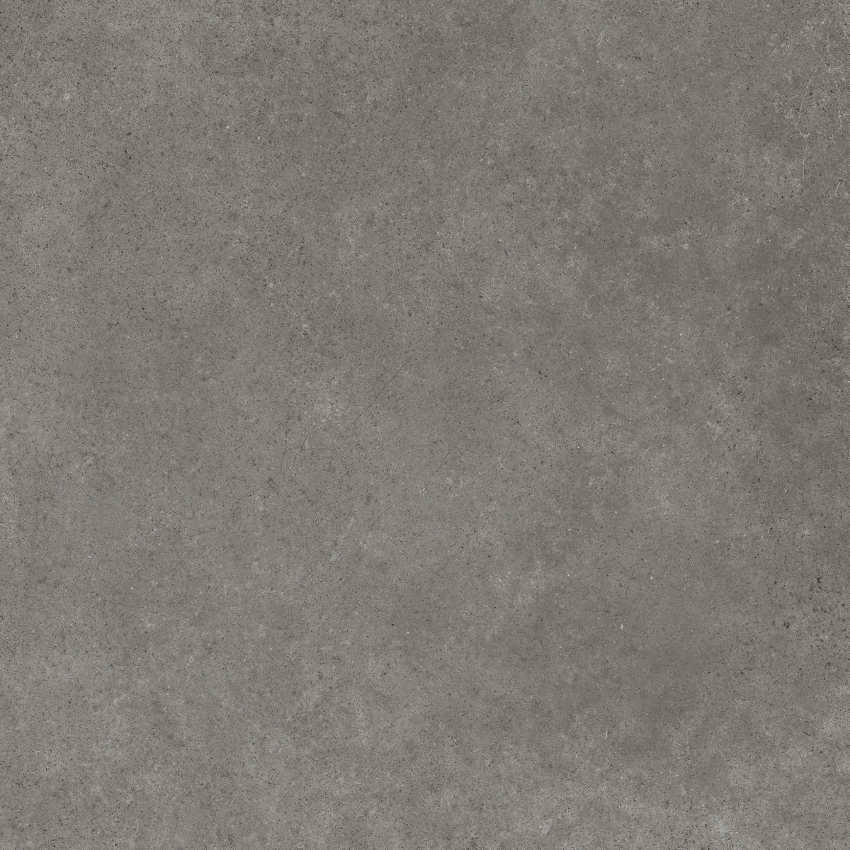 Evo Smoke Antd    60X60