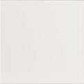 Evolution Blanco Brillo 15X15