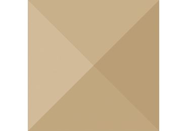 Exa 13X13