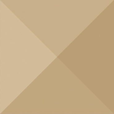 Exa 13X13