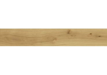 Exence Almond 20×120