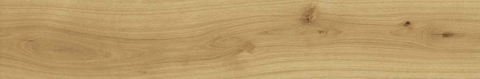 Exence Almond 20×120