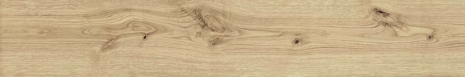 Exence Vanilla 20×120