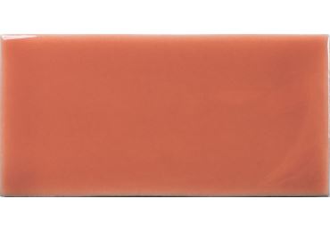 Fayenza Coral Gloss 6,2X12,5