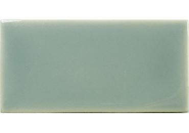 Fayenza Fern Gloss 6,2x12,5