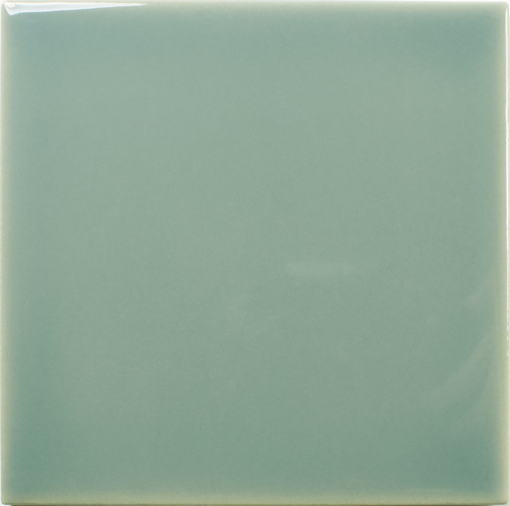 Fayenza Square Fern Gloss 12,5X12,5