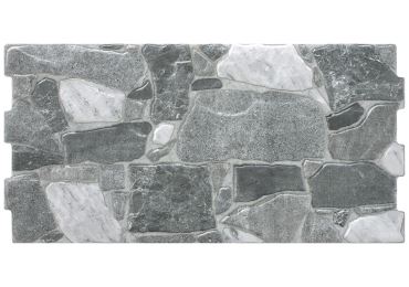 Finlay Gris  25X50