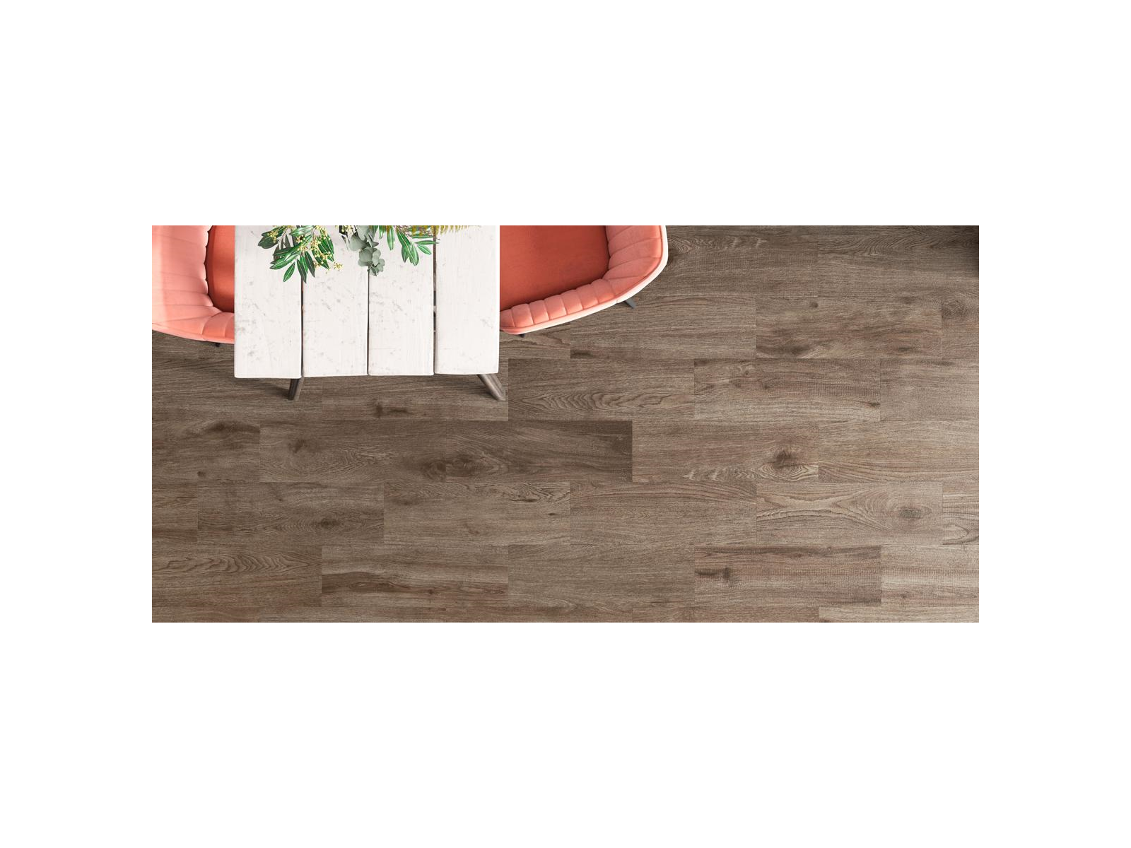 Forest Arena 19X57 Forest Arena 19X57