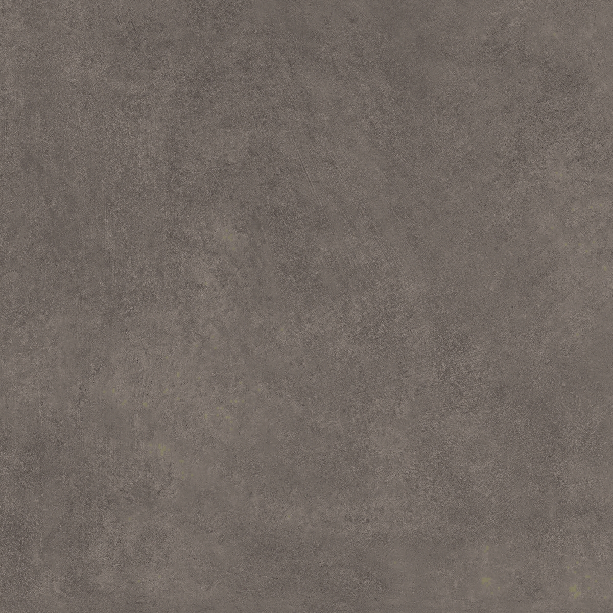 Foster Coal 60X60