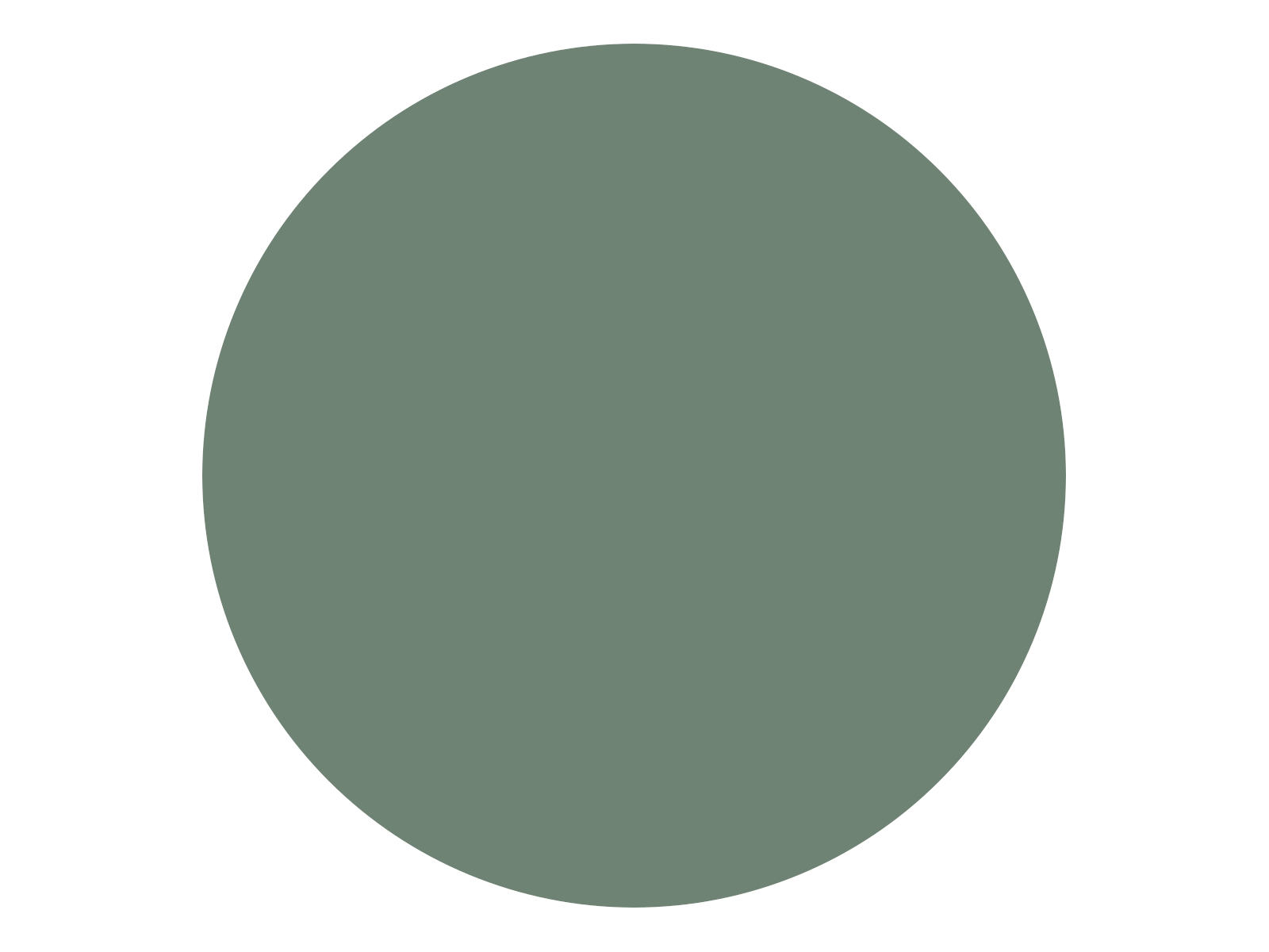 Fugabella Color - 19 3 Kg Fugabella Color - 19 3 Kg