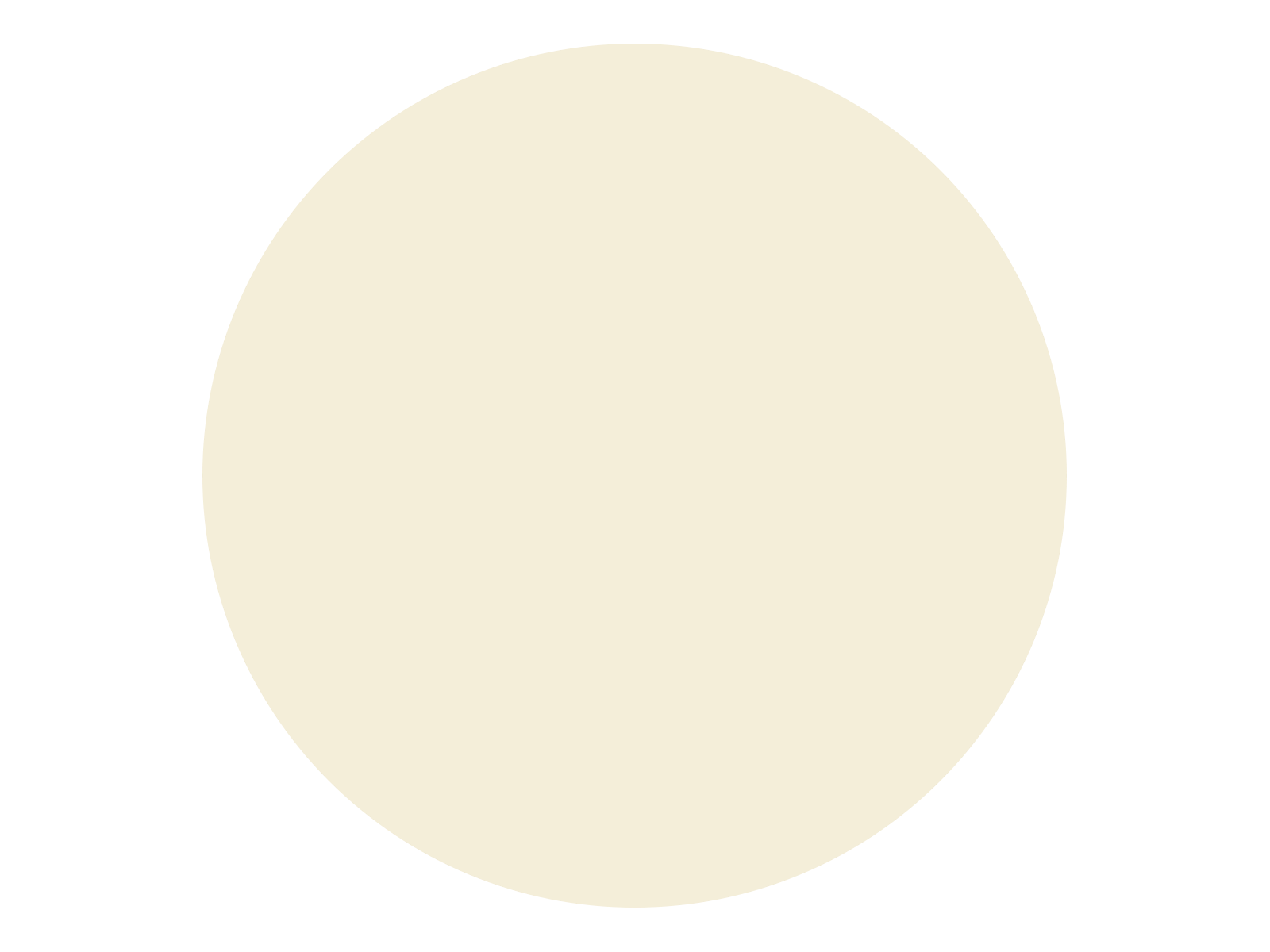 Fugabella Color - 22 3 Kg Fugabella Color - 22 3 Kg