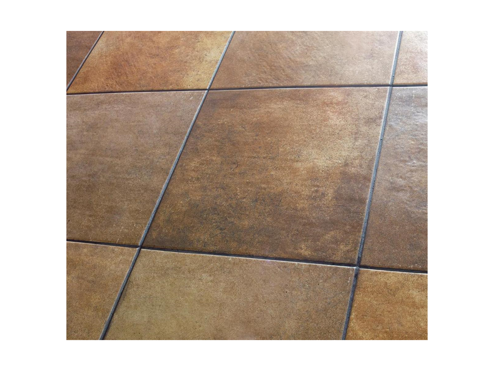 Galicia Cotto 31,6X31,6