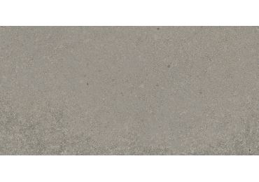 Geneve Cendre 30X60