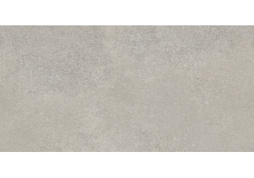 Geneve Gris 60X120