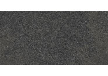 Geneve Sombre 30X60