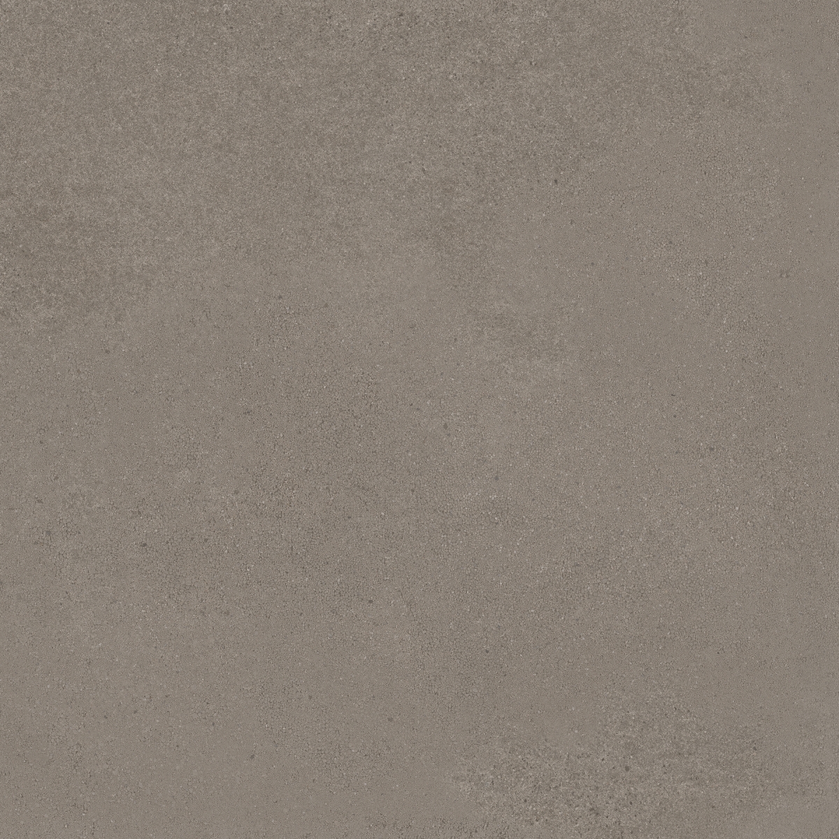 Geneve Terre 120X120