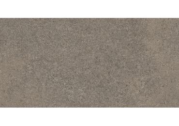 Geneve Terre 30X60