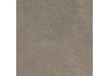 Geneve Terre 60X60