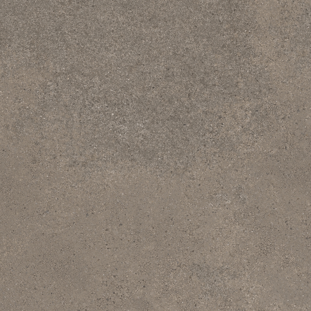 Geneve Terre 60X60