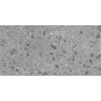 Geotech Grey 60X120