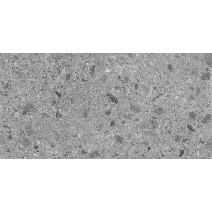 Geotech Grey 60X120