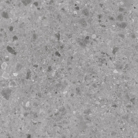 Geotech Grey 60X60