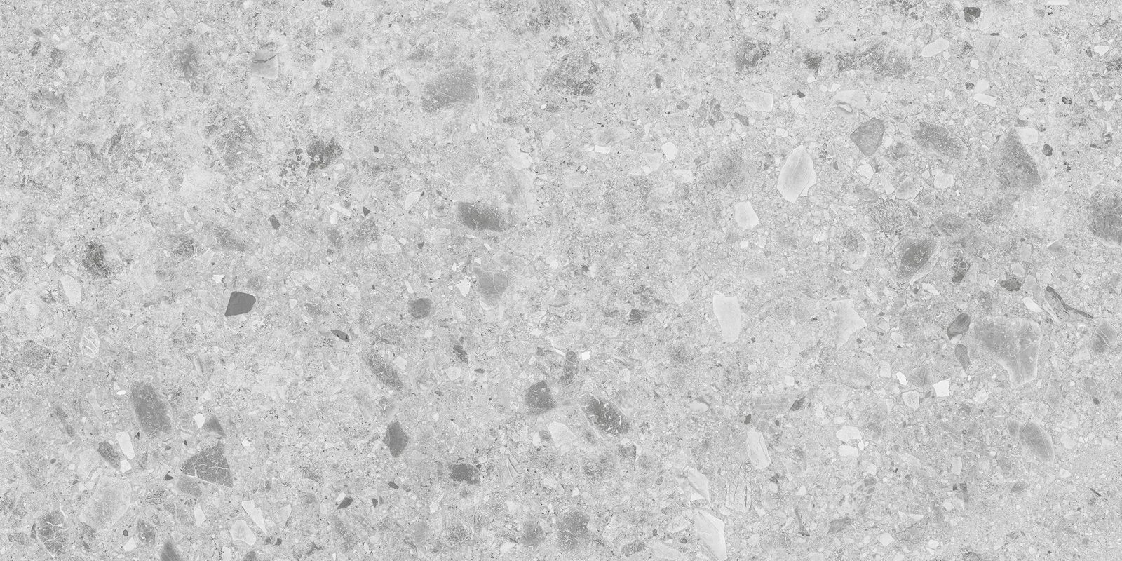 Geotech Light Grey 60X120