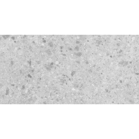 Geotech Light Grey 60X120