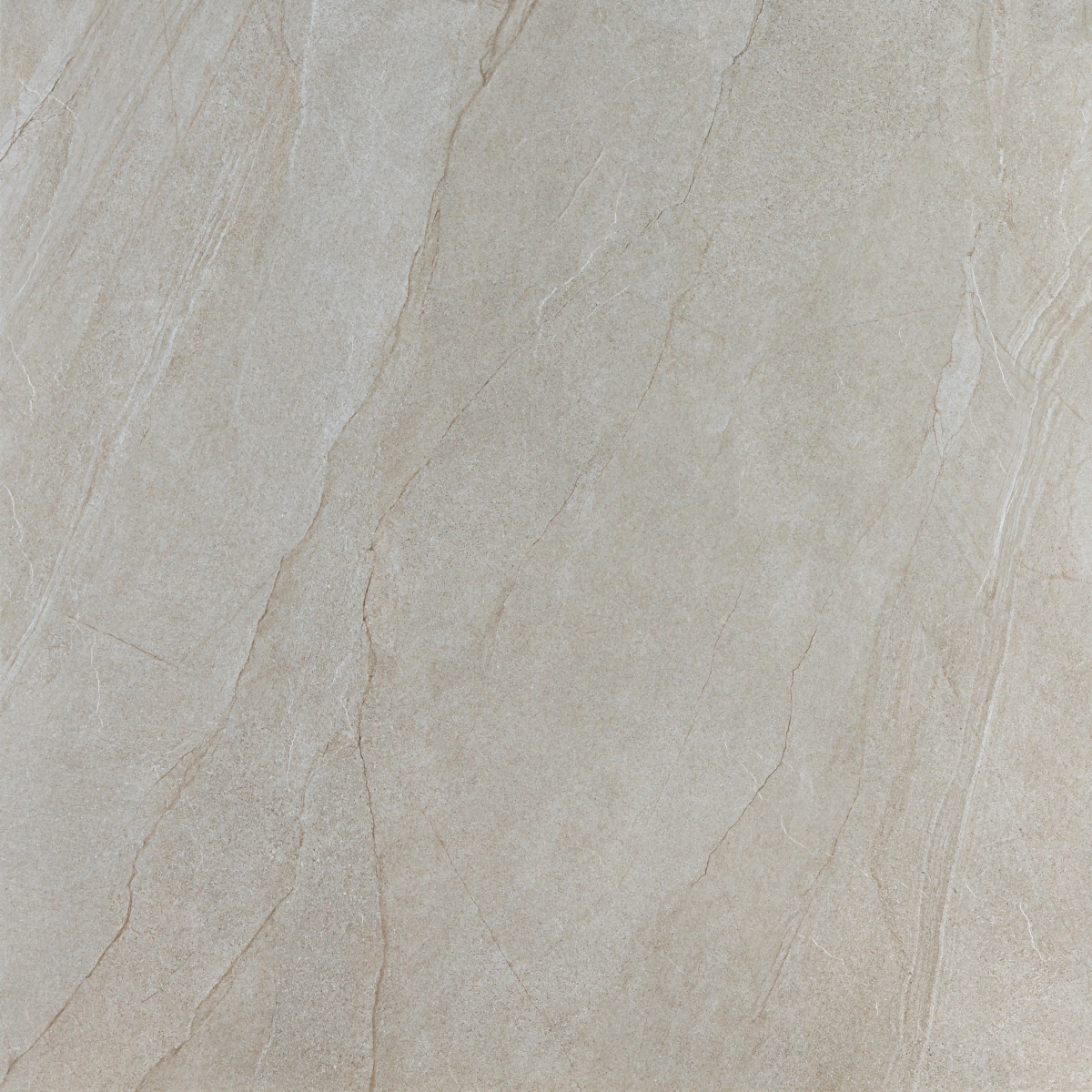 Halley Mud 120X120