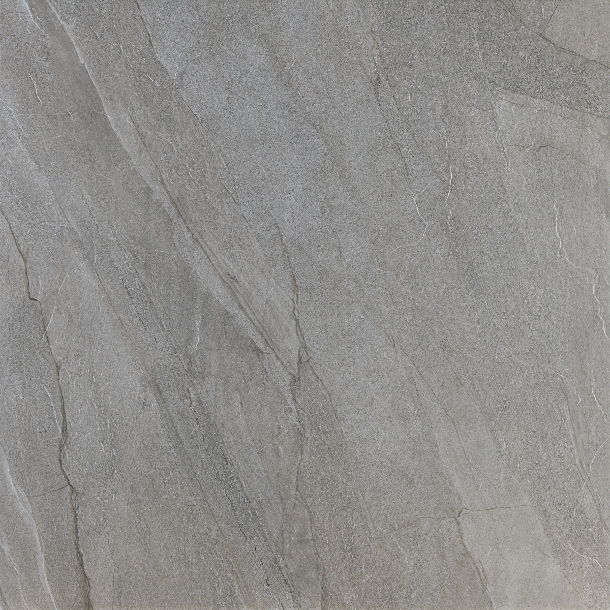 Halley Silver 120X120