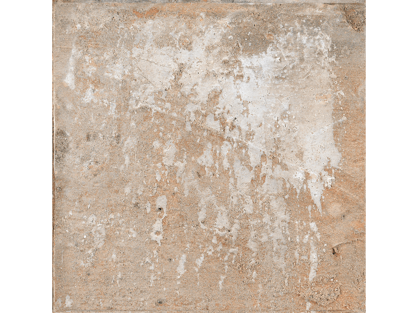 Harad Cotto  45X45