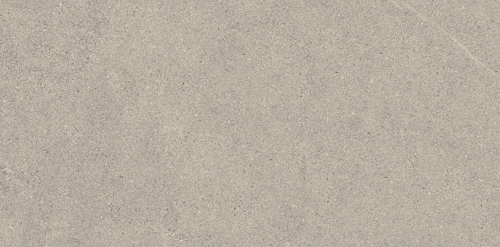 Hardy Tortora 30X60